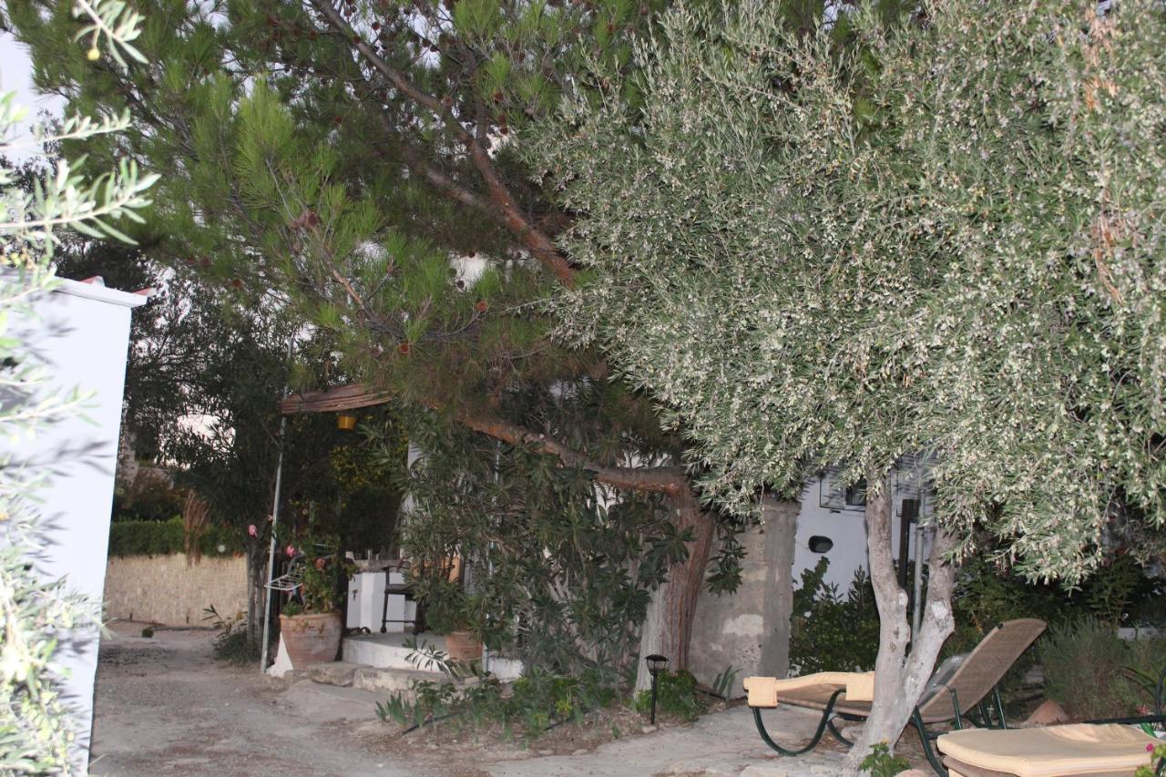 To Spiti Tou Papa Sto Vouno Guest House Kamilari Bagian luar foto