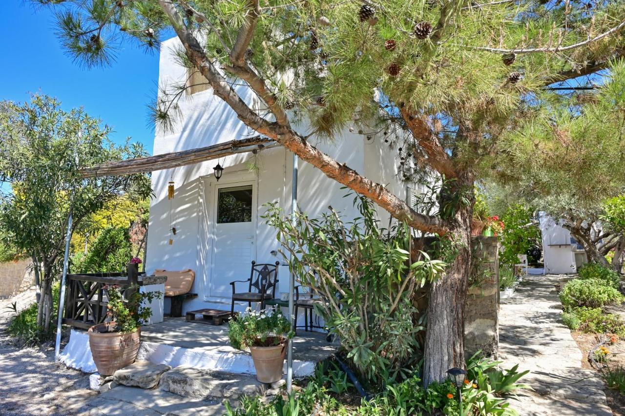 To Spiti Tou Papa Sto Vouno Guest House Kamilari Bagian luar foto