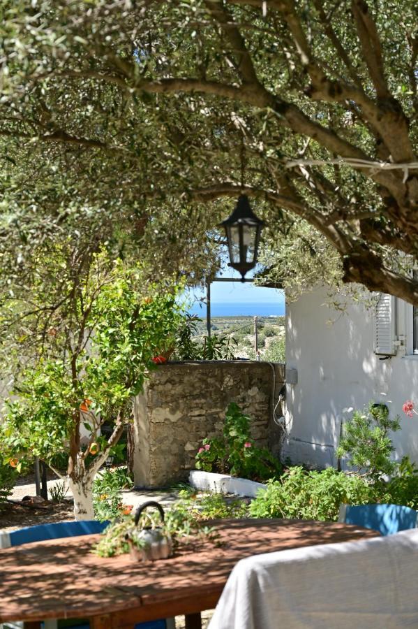 To Spiti Tou Papa Sto Vouno Guest House Kamilari Bagian luar foto