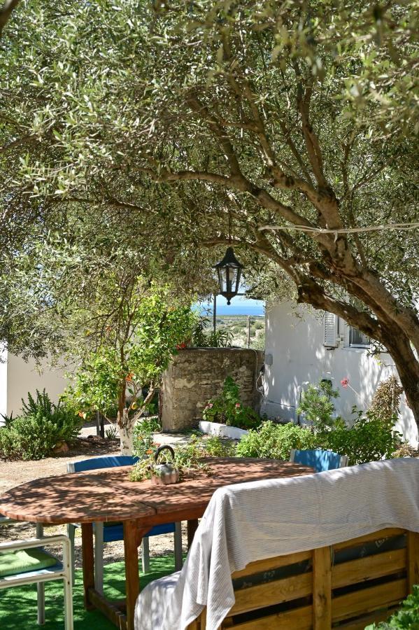 To Spiti Tou Papa Sto Vouno Guest House Kamilari Bagian luar foto