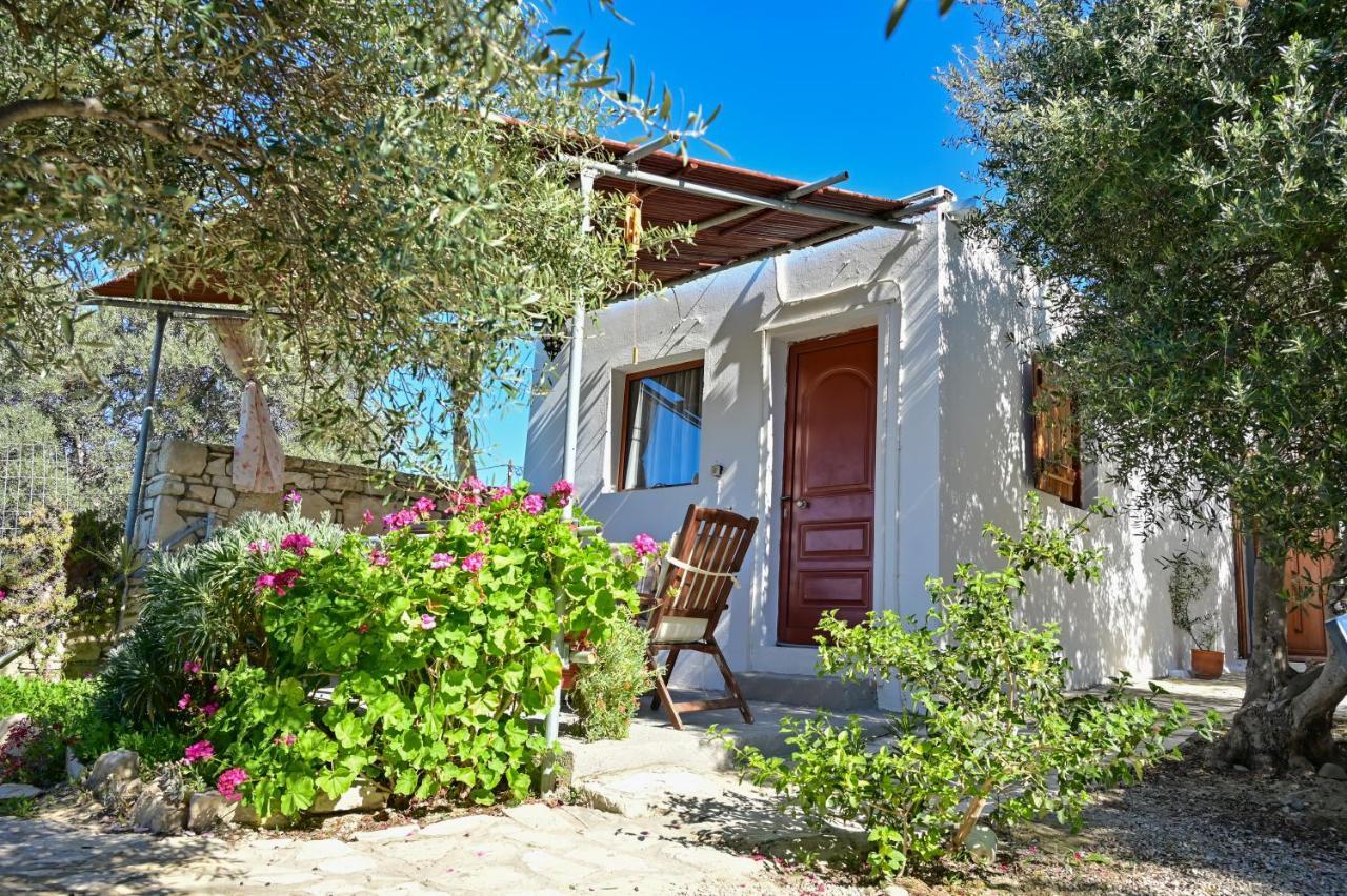 To Spiti Tou Papa Sto Vouno Guest House Kamilari Bagian luar foto